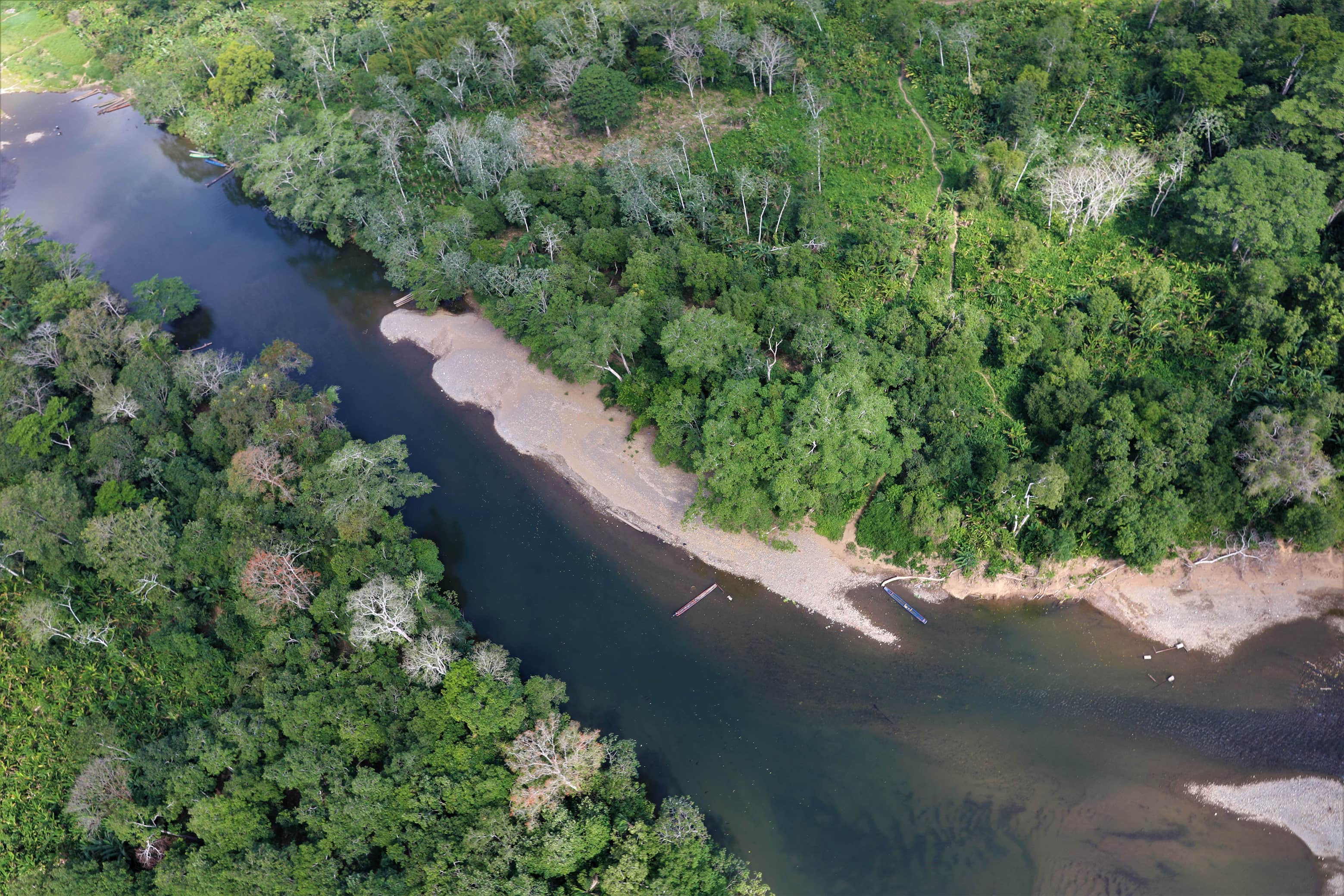Vista aérea de la selva de Darién en Panamá. 